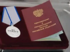 Волжан, участников СВО, наградили медалями «За отвагу»