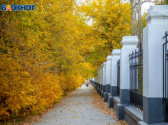 В Волжском установят новый фонтан у Центрального рынка