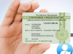 Волжане больше не получат карточки СНИЛС