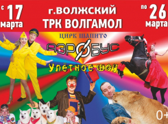 Волжский, встречай большой российский цирк с грандиозной программой 