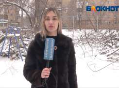 Детская площадка завалена сухими спиленными ветками: редакция «Блокнот Волжский» проверила двор
