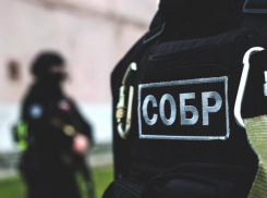 Близ Волжского Росгвардия ворвалась в дом обидчиков Госавтоинспекции