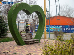 Экология в руках горожан: волжане становятся общественными инспекторами