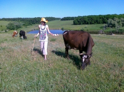 В Волгоградской области пенсионер на «Форде» переехал 14-летнюю пастушку 