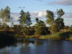 Волжанам не рекомендуют посещать леса в 40-градусную жару