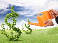 Страховал урожай: волгоградцу дали 2 года колонии за мошенничество на более 160 млн рублей  