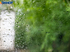 Мокро и пасмурно: прогноз погоды на субботу в Волжском 