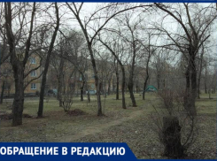 Жилой двор превратился в кладбище сухостоя в Волжском