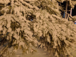 В новогоднюю ночь в Волжском ударит мороз