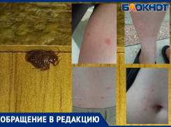 В детской больнице клопы? Жалоба волжанки и ответ облздрава
