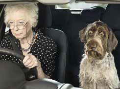 Под Волгоградом молодой парень угнал машину у 90-летней старушки