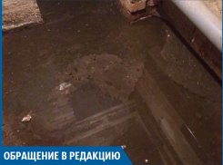 Помогите избежать эпидемии! - волжанка