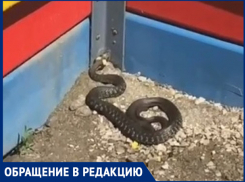 «Гадюка поселилась на детской площадке»,- волжанка
