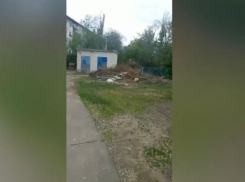 «Скоро крысы побегут», - волжанка о дворе