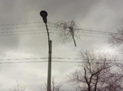 Висящая ветка на электропроводах заставила волжан напрячься