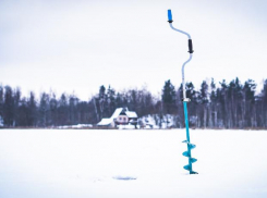 С 1 января 2020 года волжские рыбаки вооружатся рулеткой и весами