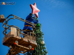 «Елочка, живи»: лучшее хвойное дерево выберут по фотографии в регионе