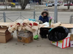 Волжская полиция в преддверии 8 марта посетила перекупщиков цветов на 8 точках торговли