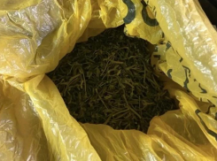 Жителю Среднеахтубинского района грозит 10 лет тюрьмы за 320 граммов конопли