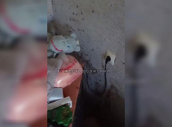 Ад на улице Мечникова: в Волжском женщина-инвалид выживает в горах мусора и тараканов