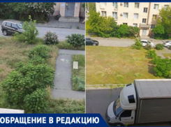 «Косим траву за свой счет»: волжане спасают детей от клещей и крыс, пока УК бездействует