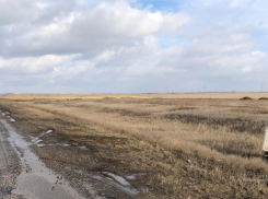 Два грузовика столкнулись на трассе «Самара - Волгоград» в Среднеахтубинском районе