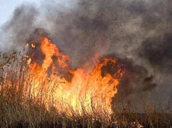 Ландшафтный пожар разбушевался в Волжском