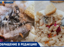 «Наших детей травят»: школьников близ Волжского кормят личинками