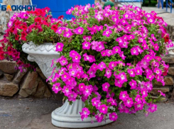 Дождь и ветер: прогноз погоды на 2 сентября в Волжском