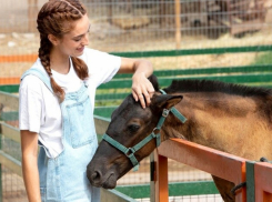 Новые вакансии в зоопарке «Крошка на ладошке»