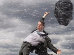 На северо-востоке Волгоградской области прогнозируют сильный ветер и гололед