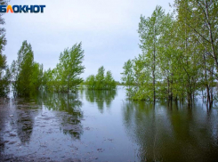Дождливый понедельник ожидает волжан: прогноз погоды