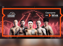 Осенью Wink снова покажет лучшие кулачные бои в прямом эфире