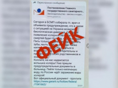 Очередной фейковой диверсией пугают друг друга жители Волжского в чатах