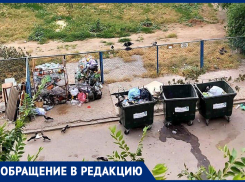 «Осталось мусор прямо у подъезда бросать», - волжанка