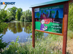 Жителям Волжского запретили посещать лес