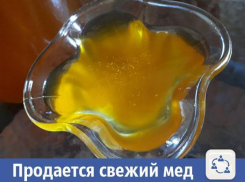В Волжском продается свежий и натуральный мед