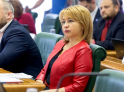 Волжский депутат на Совете Федераций предложила изымать детей по праздникам и в выходные дни