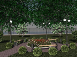 Волжане смогут отдохнуть на Набережной в тени лип