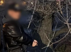 Двое волжан «заказали» наркотики в сети и попали полицейским в руки