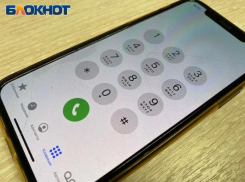 Киберволки в овечьей шкуре: Мошенники обокрали жителей Волгоградского региона почти на миллиард рублей