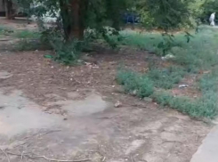 Годами в Волжском не убирают свалку на Профсоюзов 