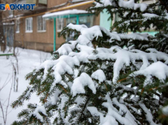 Помыться в бане волжанам в Федора день советует травница