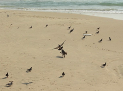 Очередной солнечный понедельник ждет волжан