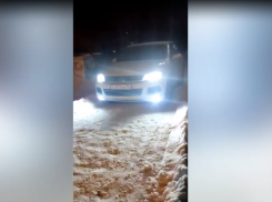 Гонщик на иномарке катался по парку в Волжском: видео