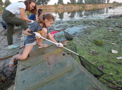 30 мешков мусора и 11 пакетов пластика: волонтеры рассказали о расчистке берега в Волжском