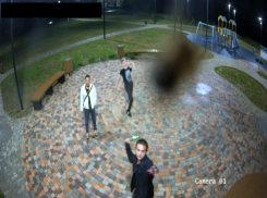 Волжане обмочили и разнесли детскую площадку. Видео