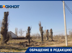 После публикации «Блокнот Волжский» коммунальщики навели порядок  на острове Зеленый