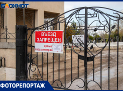 На кладбищах Волжского замечен транспорт: администрация благоустраивает территории