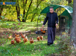 Солнечное и холодное воскресенье ждет волжан: прогноз погоды